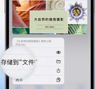 晋中apple维修中心分享iPhone文件应用中存储和找到下载文件