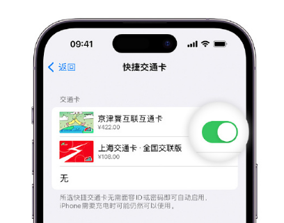 晋中apple维修点分享iPhone上更换Apple Pay快捷交通卡手绘卡面 