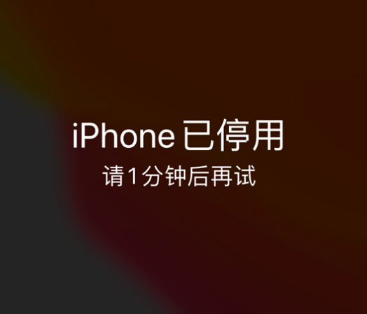 晋中苹果手机维修分享:iPhone 显示“不可用”或“已停用”怎么办？还能保留数据吗？ 