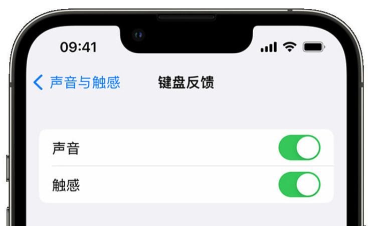 晋中苹果手机维修分享iPhone 14触感键盘使用方法 