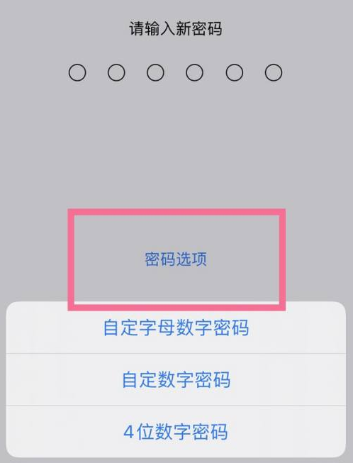 晋中苹果14维修分享iPhone 14plus设置密码的方法 